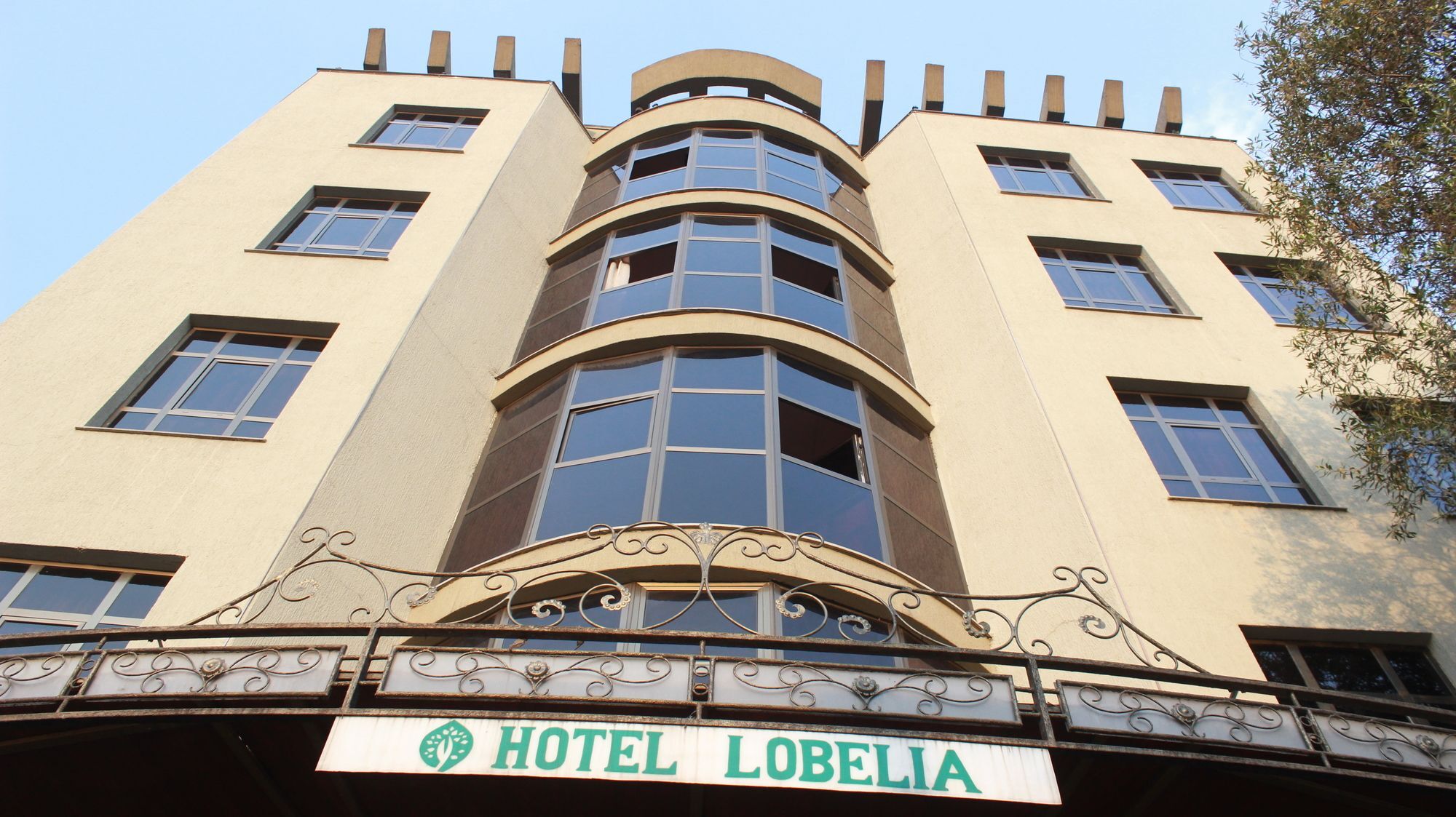 Hotel Lobelia Adís Abeba Exterior foto